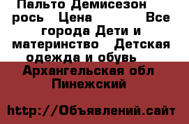 Пальто Демисезон 104 рось › Цена ­ 1 300 - Все города Дети и материнство » Детская одежда и обувь   . Архангельская обл.,Пинежский 